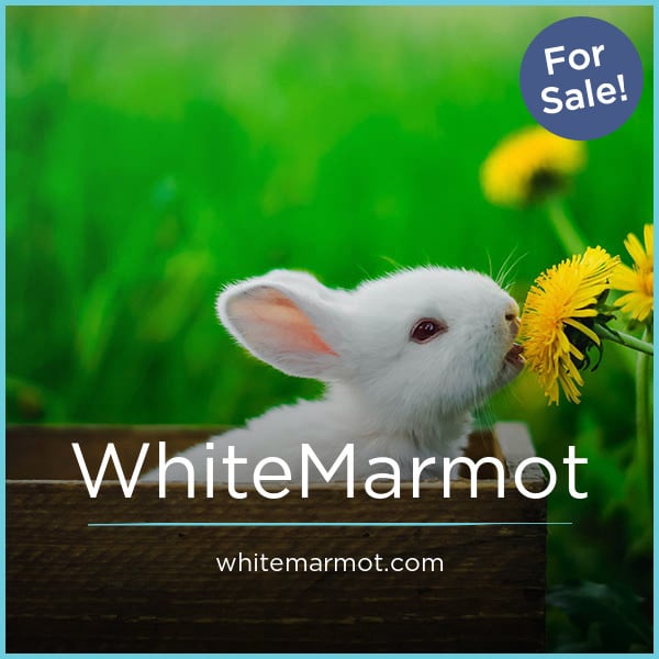 WhiteMarmot.com - New premium names