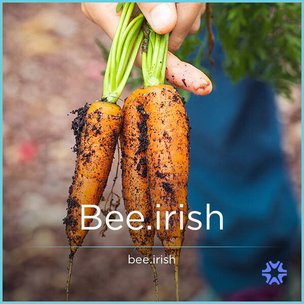 Bee.irish — 2