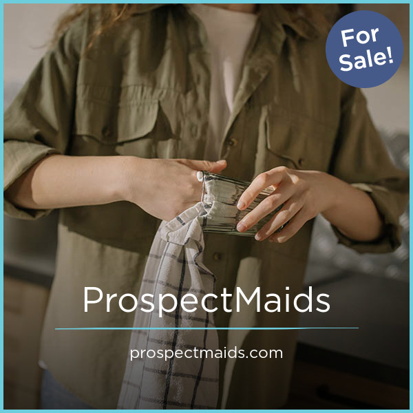 ProspectMaids.com image 2