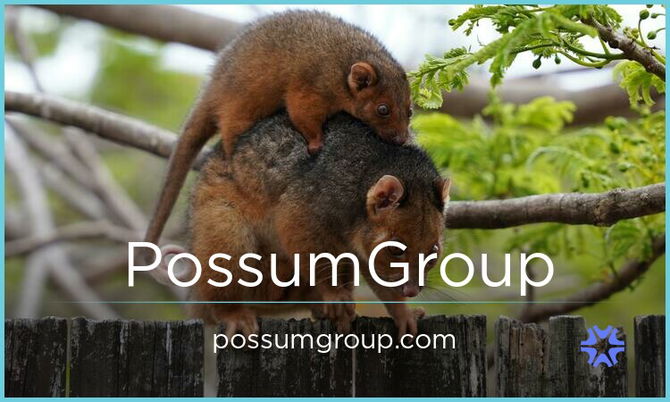 PossumGroup.com