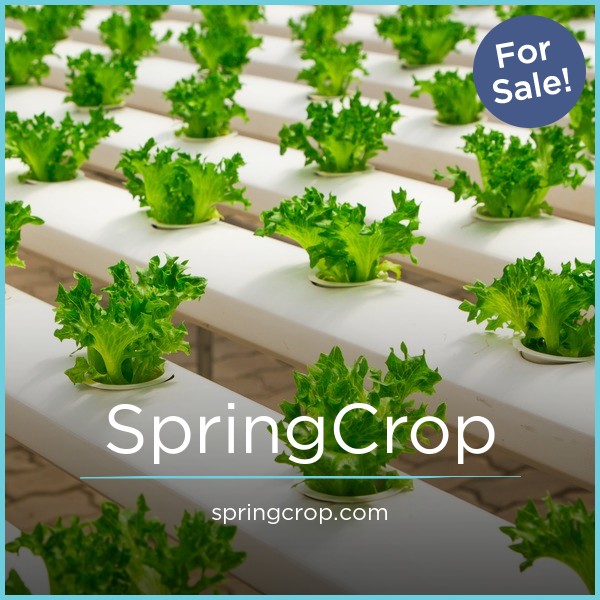 SpringCrop.com - New premium names