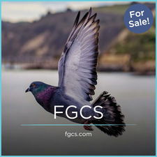 FGCS.com - Creative brandable domain for sale