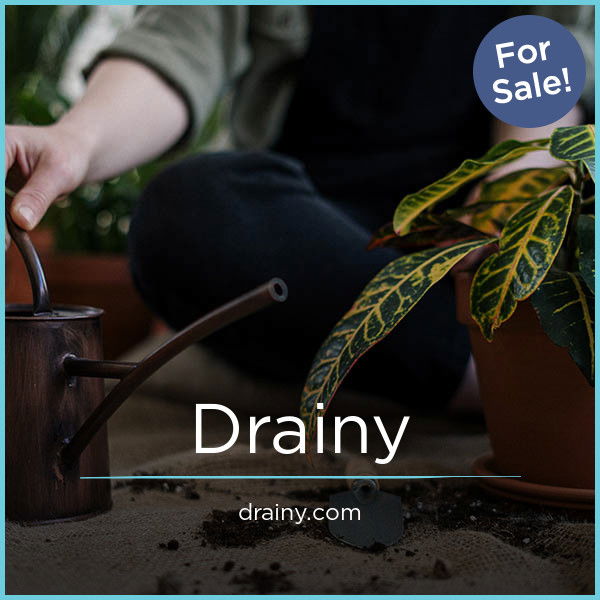 Drainy.com