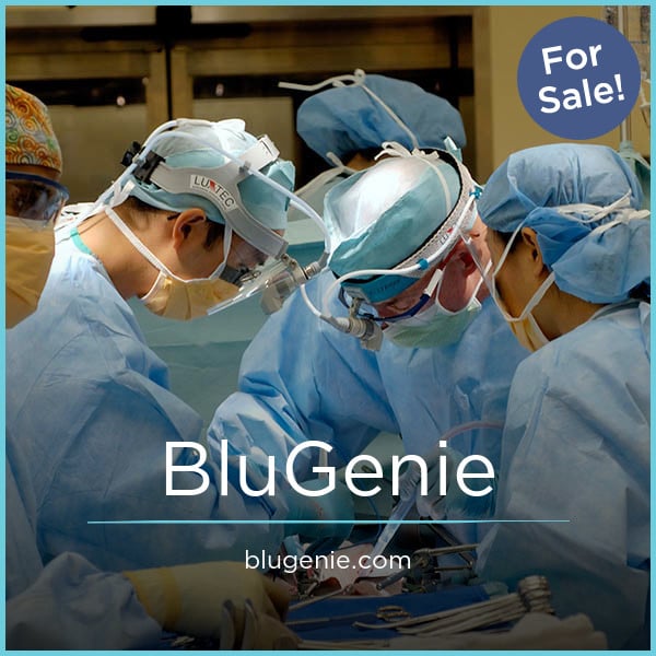BluGenie.com - New domains for sale
