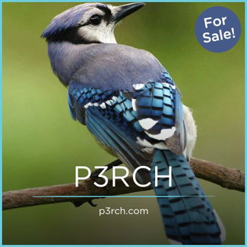 P3RCH.com