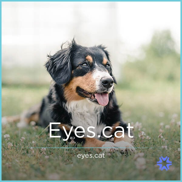 Eyes.cat image 2