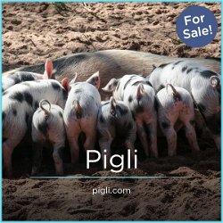 Pigli.com - Great premium domains for sale
