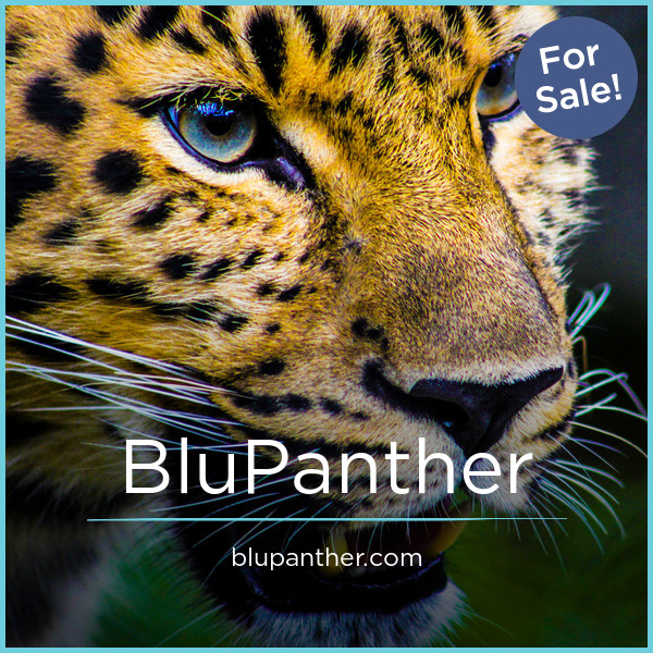 BluPanther.com - Catchy domains for sale