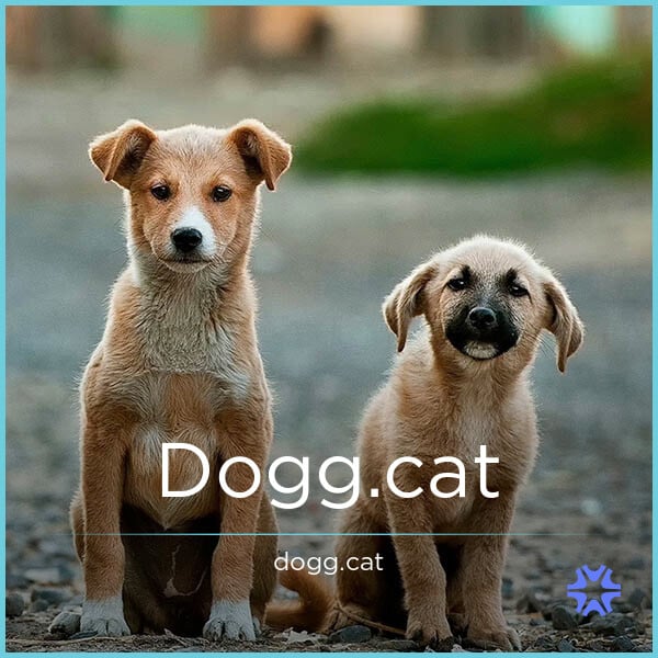 Dogg.cat image 2