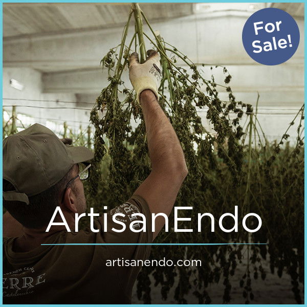 ArtisanEndo.com