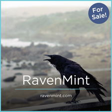 RavenMint.com - Catchy premium domains