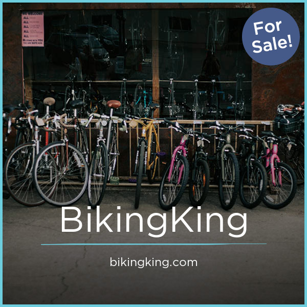 BikingKing.com - buy Cool premium domains