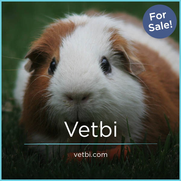 Vetbi.com — 2