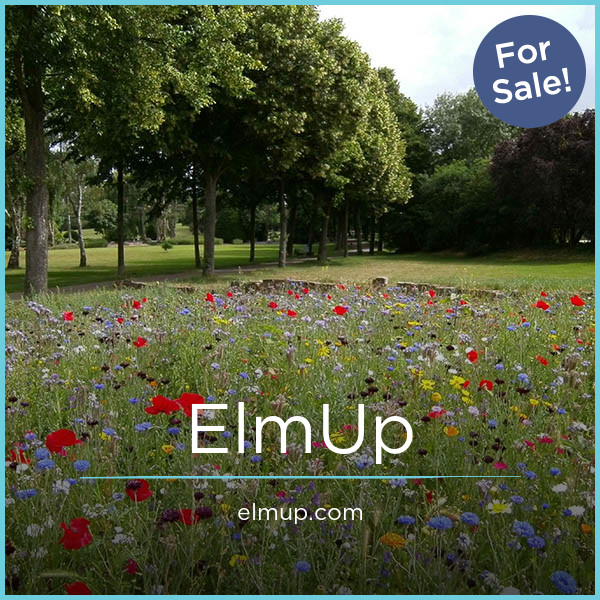 ElmUp.com - Great premium names