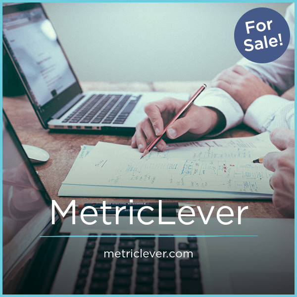 MetricLever.com image 2