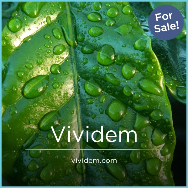 Vividem.com - Catchy premium domain names for sale