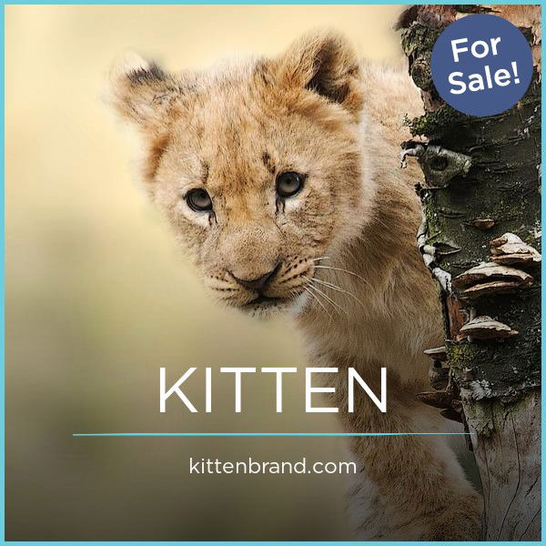 KittenBrand.com