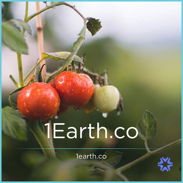 1Earth.co