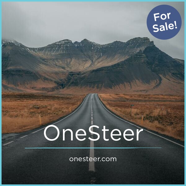 OneSteer.com image 2
