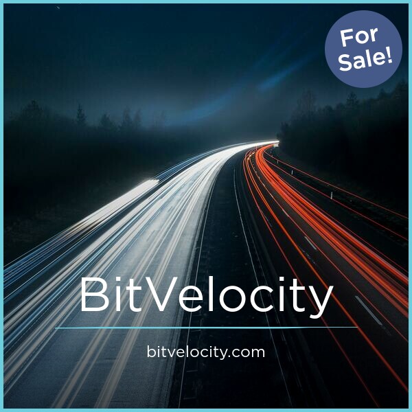 BitVelocity.com image 2