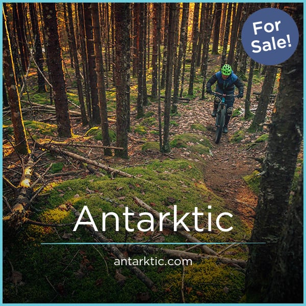 Antarktic.com image 2