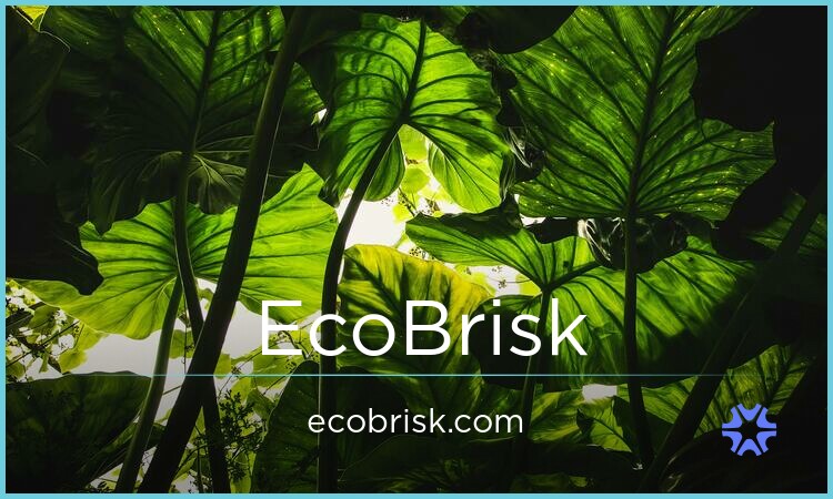 EcoBrisk.com image 2