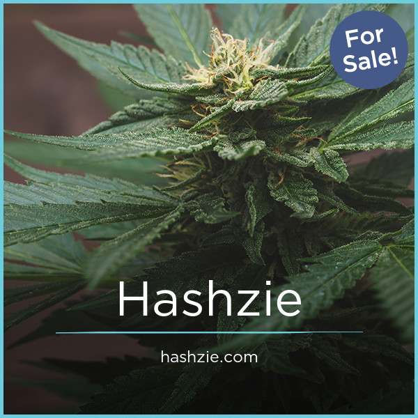 Hashzie.com - Creative premium domains for sale
