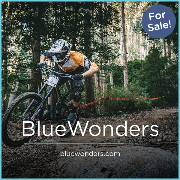 BlueWonders.com image 2