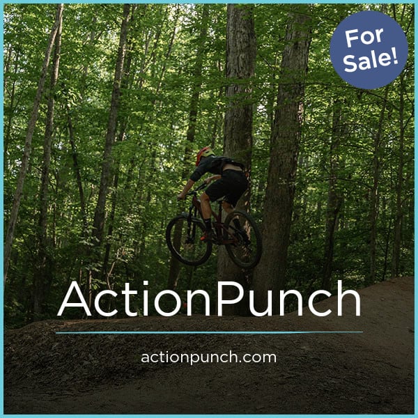 ActionPunch.com image 2