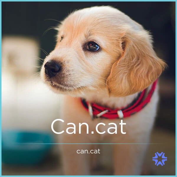 Can.cat image 2