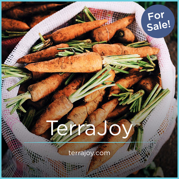 TerraJoy.com - Catchy premium domain marketplace