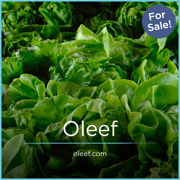 Oleef.com - Best premium domain marketplace