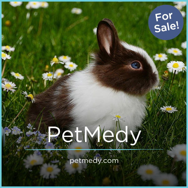 PetMedy.com — 2