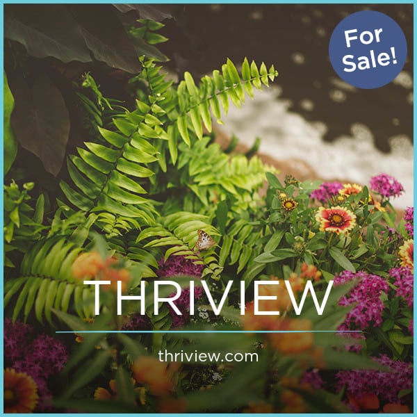 ThriView.com image 2