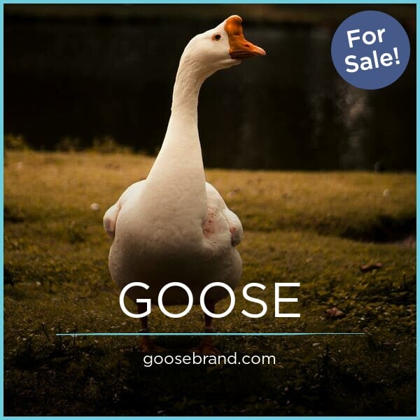 GooseBrand.com - Unique domains for sale