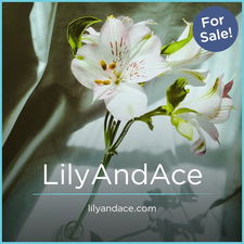 LilyAndAce.com - buy Great premium domains