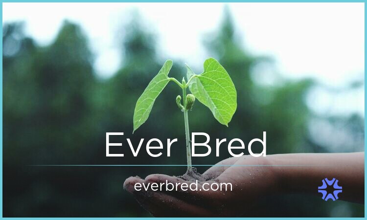 EverBred.com - Cool premium domains