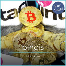 Bincis.com - Creative brandable domain for sale