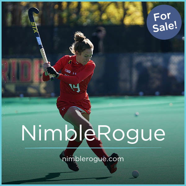 NimbleRogue.com — 2