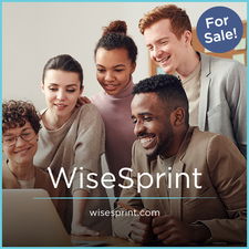 WiseSprint.com - Catchy premium domain names for sale
