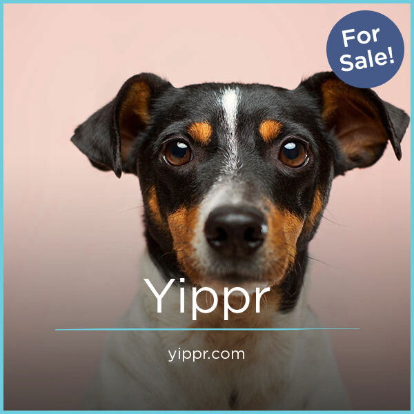 Yippr.com