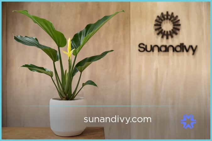 SunAndIvy.com - buying New premium names
