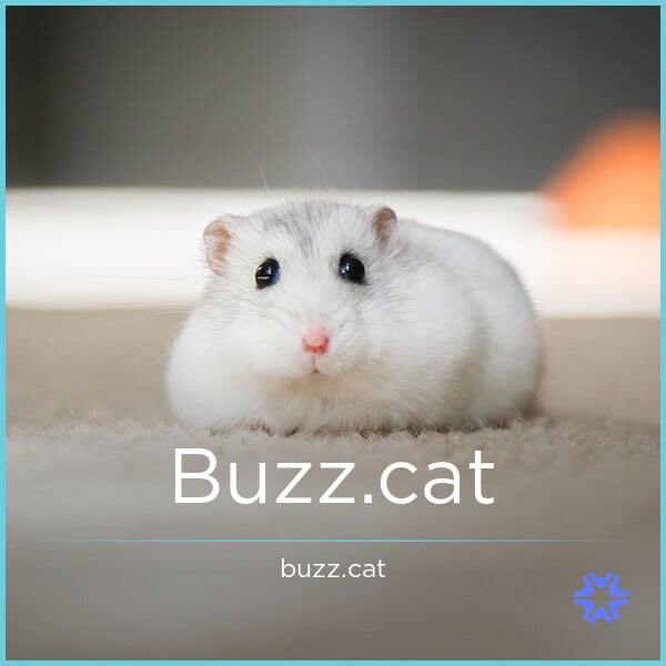 Buzz.cat image 2