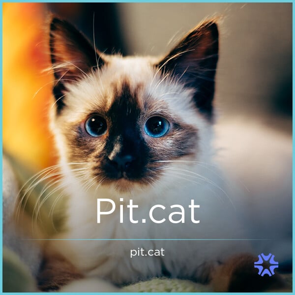 Pit.cat image 2