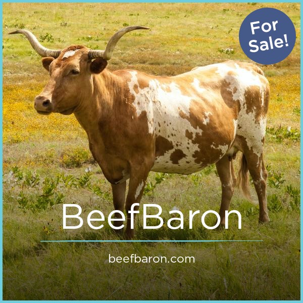 BeefBaron.com - Catchy domains for sale