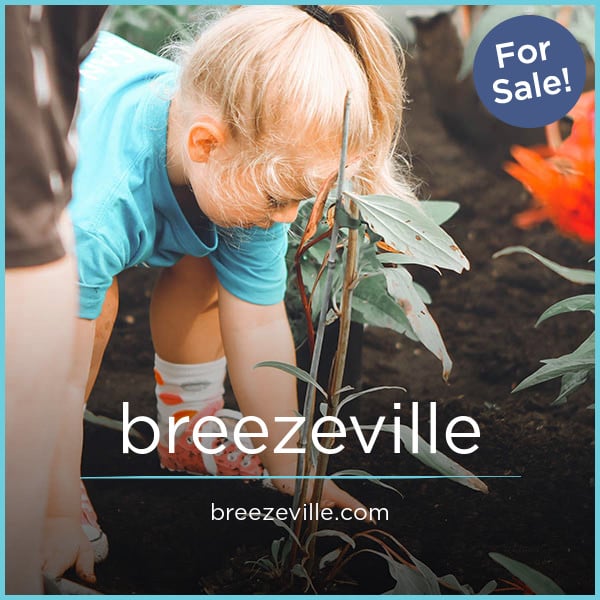 Breezeville.com - buying Catchy premium names