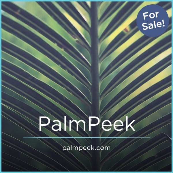 PalmPeek.com image 2