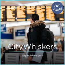 CityWhiskers.com - Creative brandable domain for sale