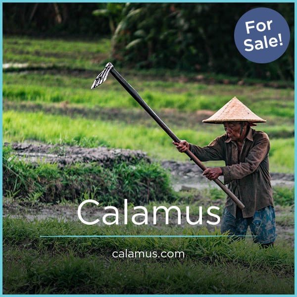 Calamus.com image 2