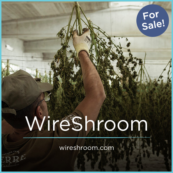 WireShroom.com - buy Unique premium domains